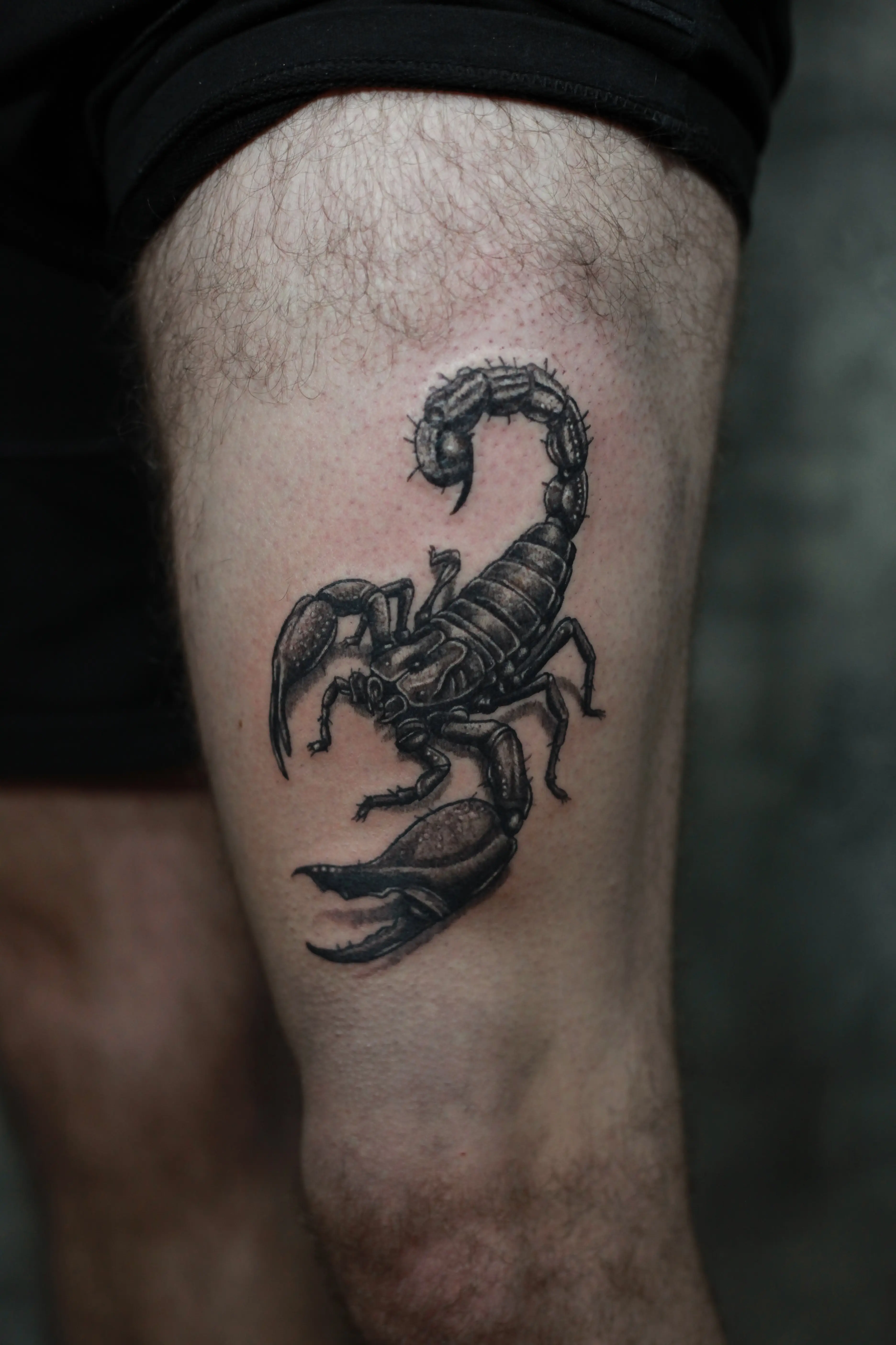 Tetovaža Škorpija - Black & Grey rad Eternal Art studio